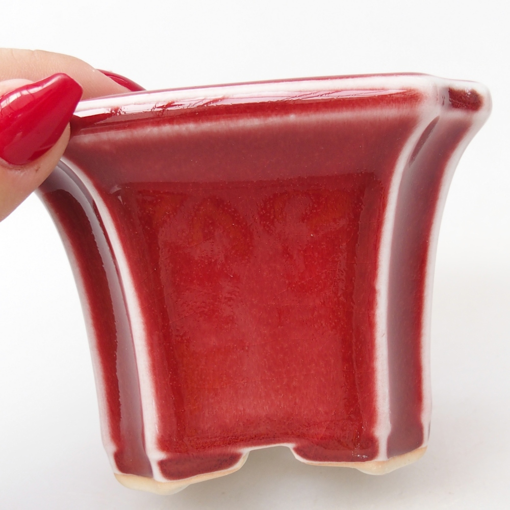 Cuenco bonsái de cerámica 10 x 10 x 7 cm, color rojo