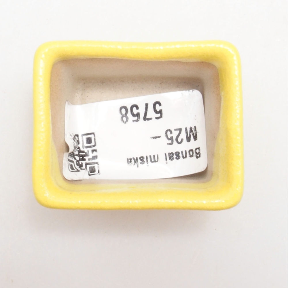 Cuenco bonsái de cerámica 4 x 3,5 x 2,5 cm, amarillo