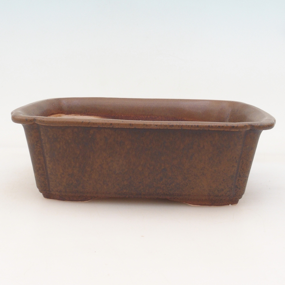 Cuenco bonsai + platillo H50 - marrón