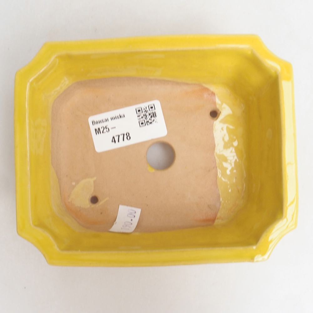 Cuenco bonsái de cerámica 13 x 10,5 x 4 cm, amarillo