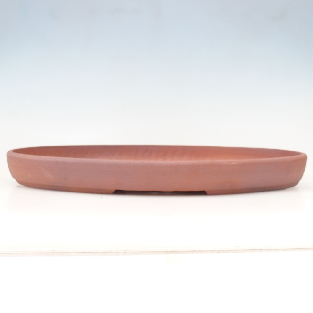 Cuenco bonsai 48,5 x 31 x 4,5 cm , color marrón - SOLO RECOGIDA PERSONAL O TRANSPORTE POR PALET