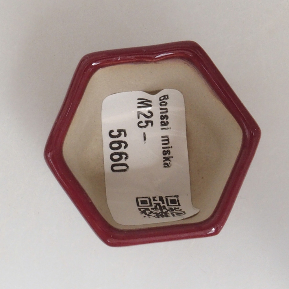 Cuenco mini bonsái 4 x 4 x 3,5 cm, burdeos