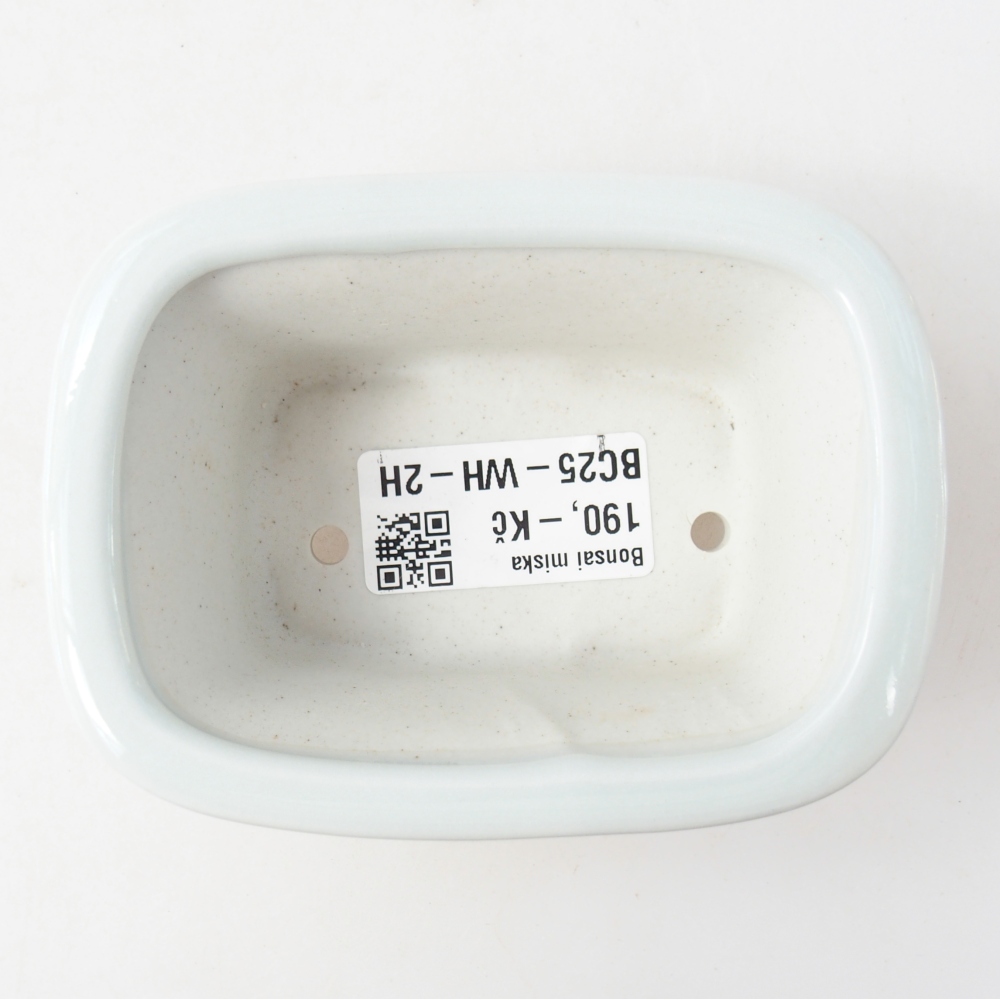 Cuenco mini bonsái 10 x 7,5 x 4 cm, color blanco