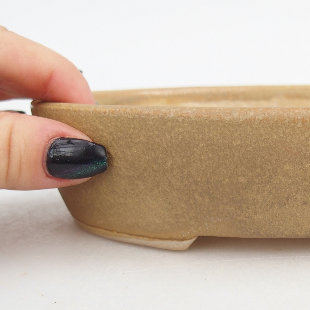 Cuenco bonsái de cerámica 17 x 14 x 4 cm, color beige