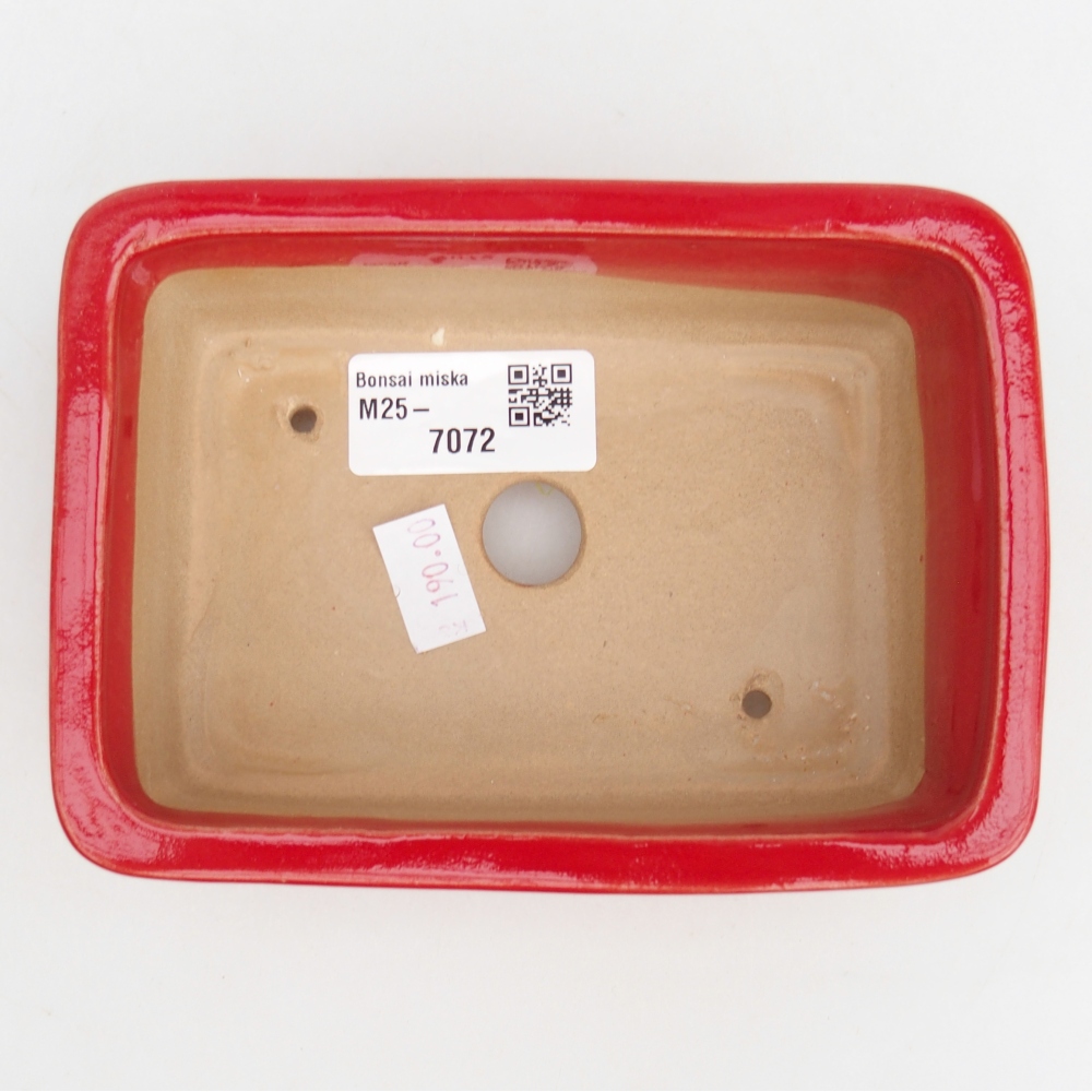 Cuenco bonsái de cerámica 13,5 x 10 x 4,5 cm, color rojo