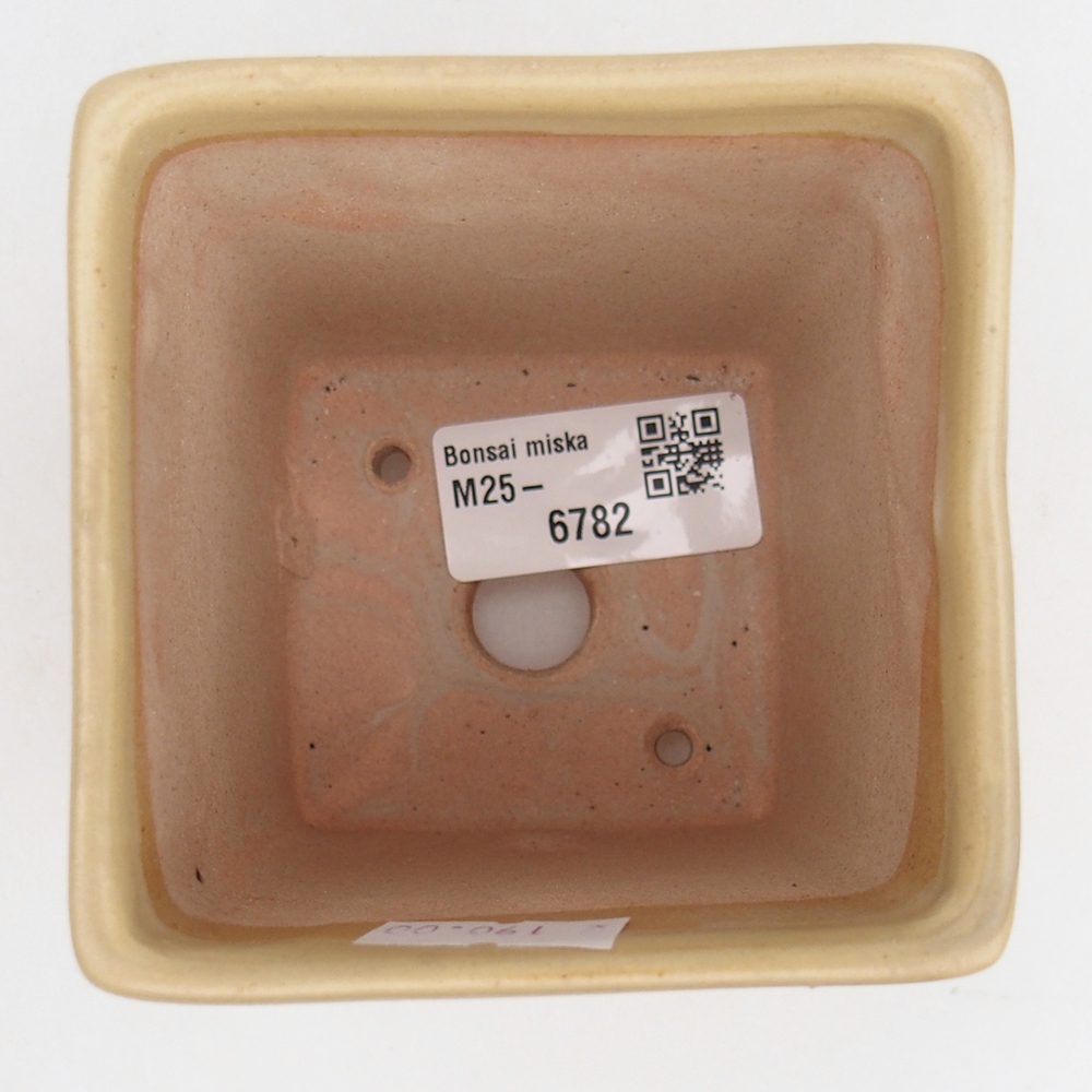 Cuenco bonsái de cerámica 7,5 x 7,5 x 10 cm, color beige