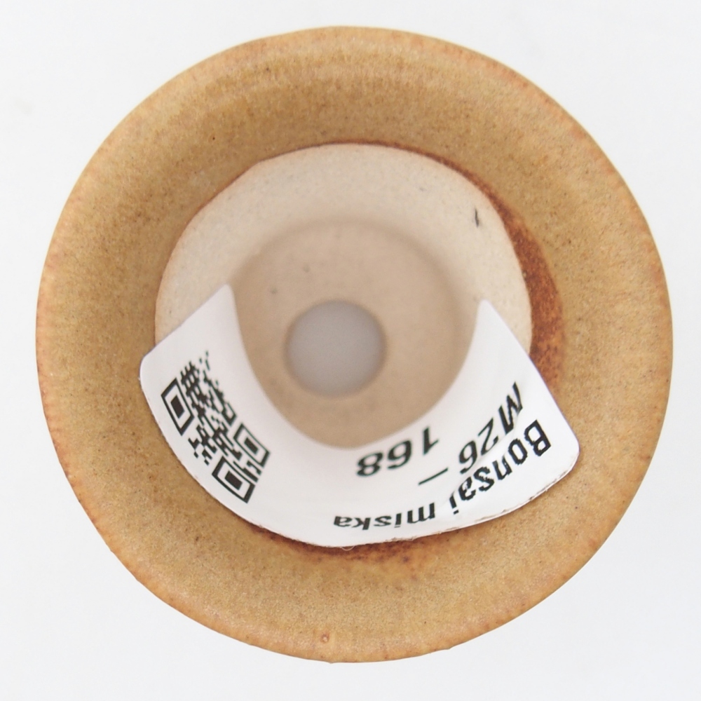 Cuenco mini bonsái 4,5 x 4,5 x 4 cm, marrón