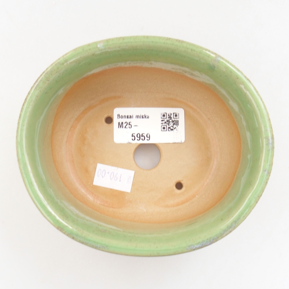 Cuenco bonsái de cerámica 22 x 17 x 5 cm, verde