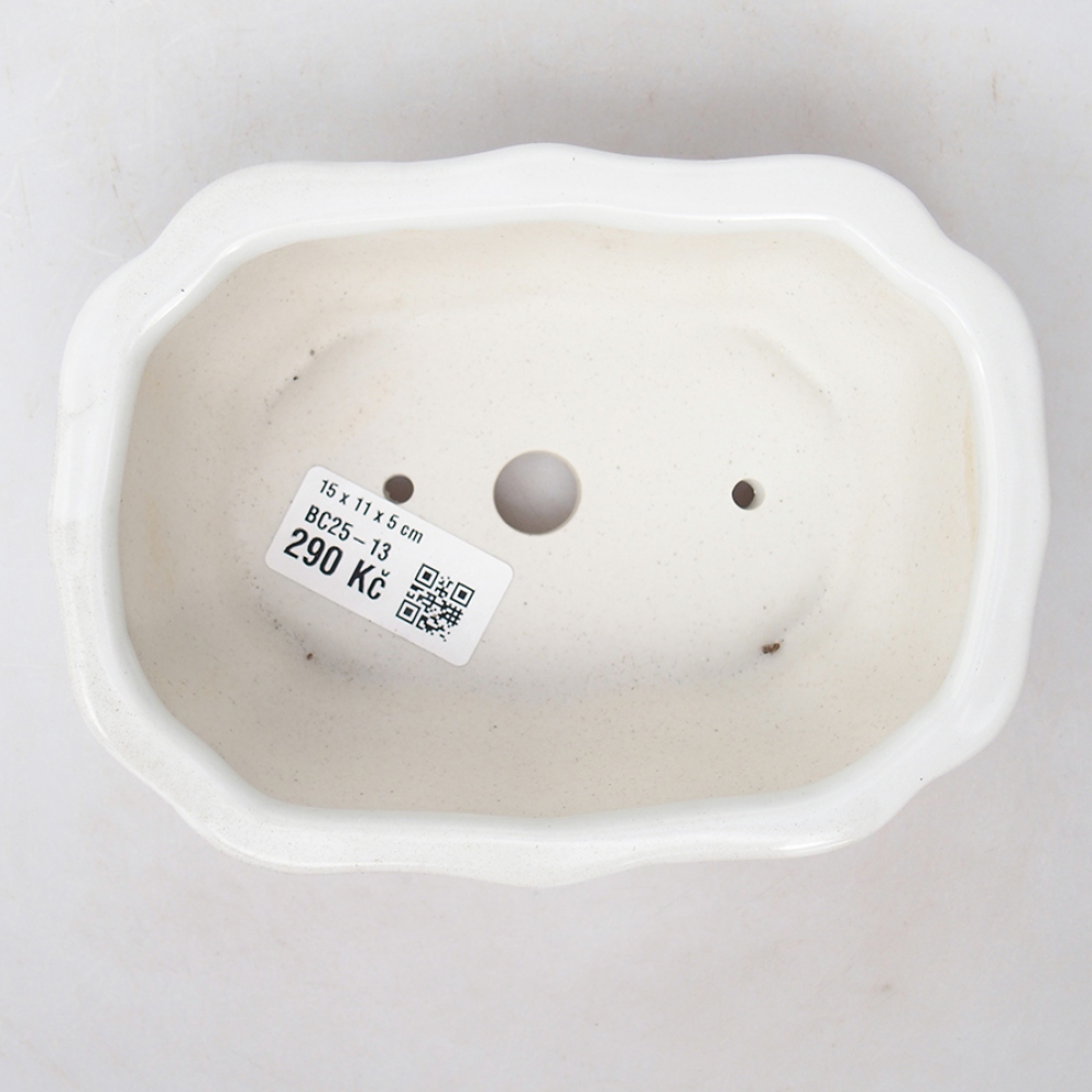 Cuenco bonsái de cerámica 15 x 11 x 5 cm, color blanco