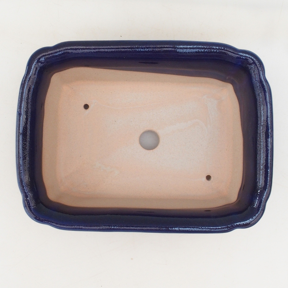 Cuenco bonsái H50 - 17 x 12,5 x 5,5 cm - azul