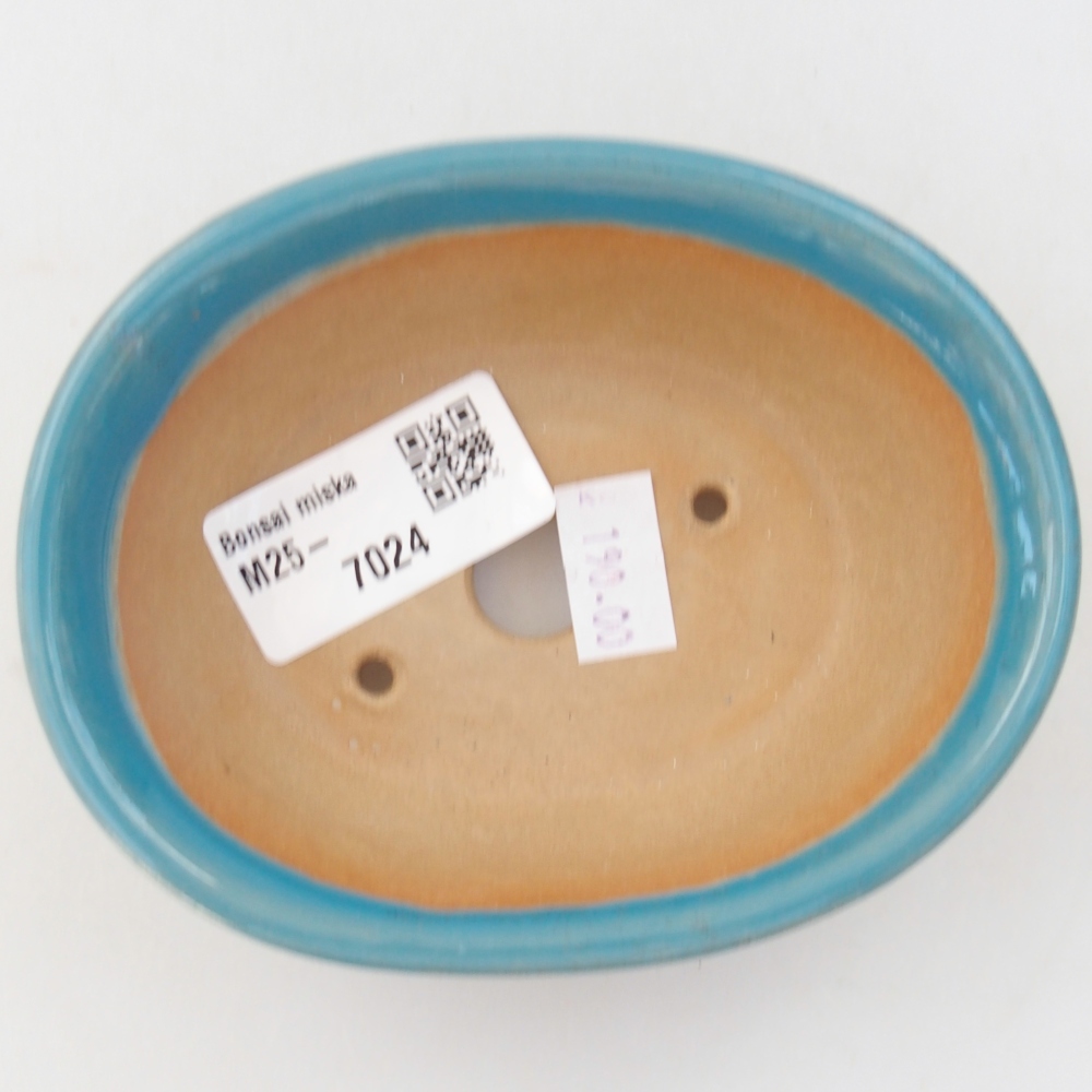 Cuenco bonsái de cerámica 11 x 9 x 4 cm, color azul