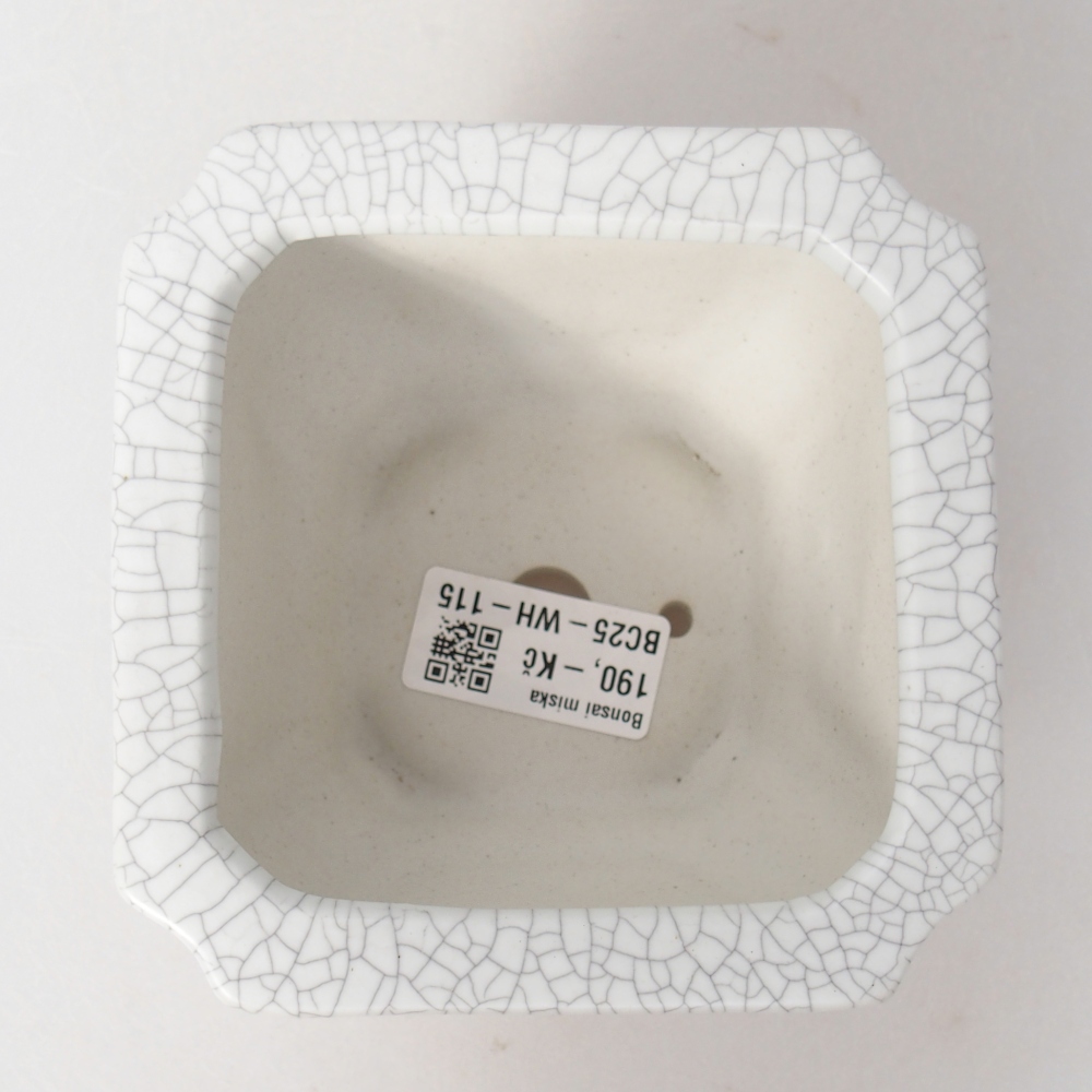 Cuenco bonsái de cerámica 11 x 11 x 7 cm, color raku