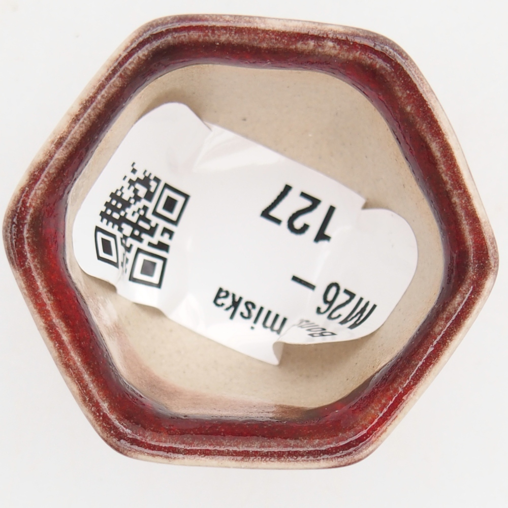 Cuenco mini bonsái 4 x 4 x 3 cm, color rojo