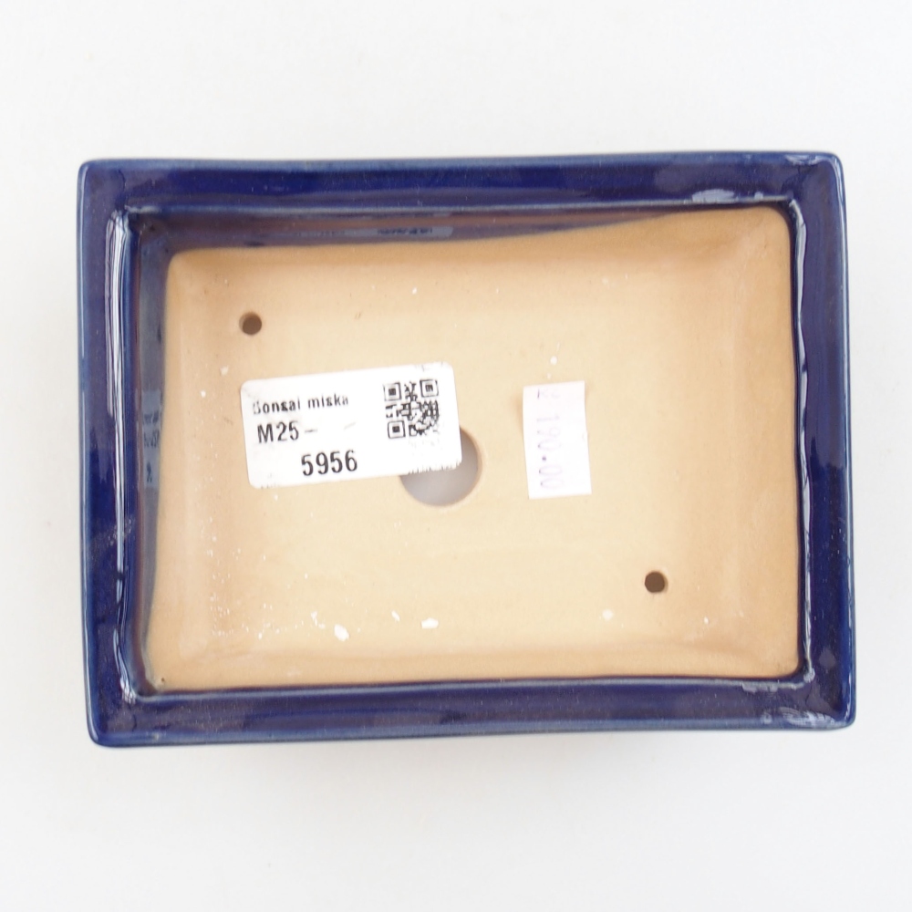 Cuenco bonsái de cerámica 22 x 17 x 5 cm, verde