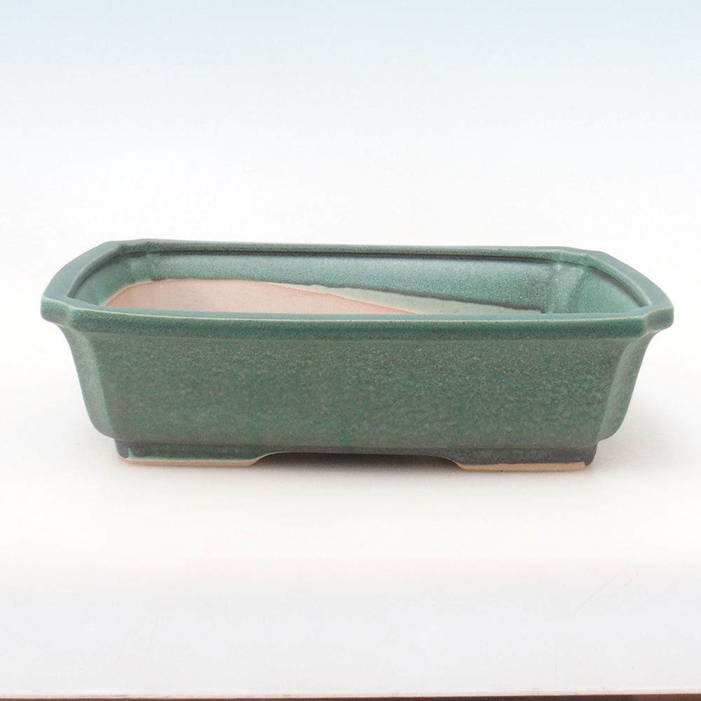 Cuenco bonsái H07 - 30 x 20,5 x 8 cm. - verde