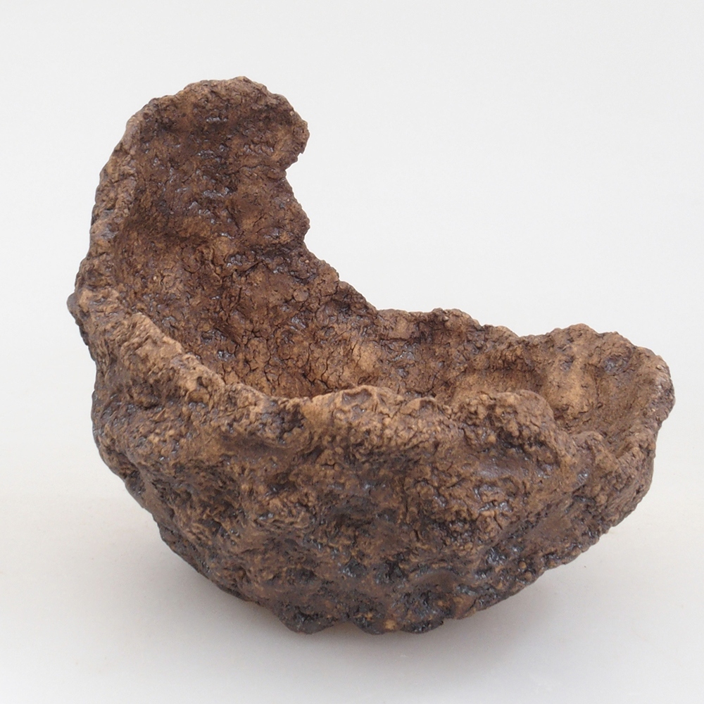 Concha de cerámica 10 x 8 x 10 cm , color marrón