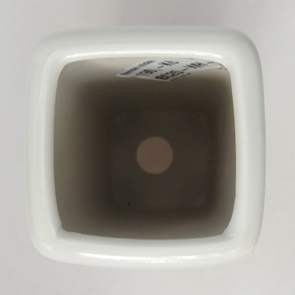 Cuenco bonsái de cerámica 5,5 x 5,5 x 12 cm, color blanco