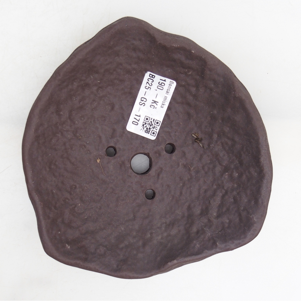 Concha de cerámica 15,5 x 15 x 4 cm , color marrón