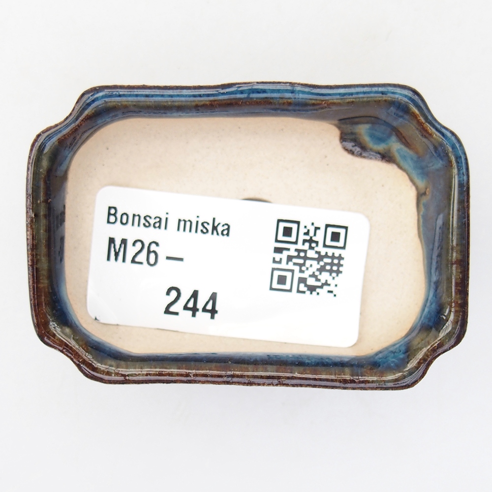 Cuenco mini bonsái 6 x 4 x 1,5 cm, color azul