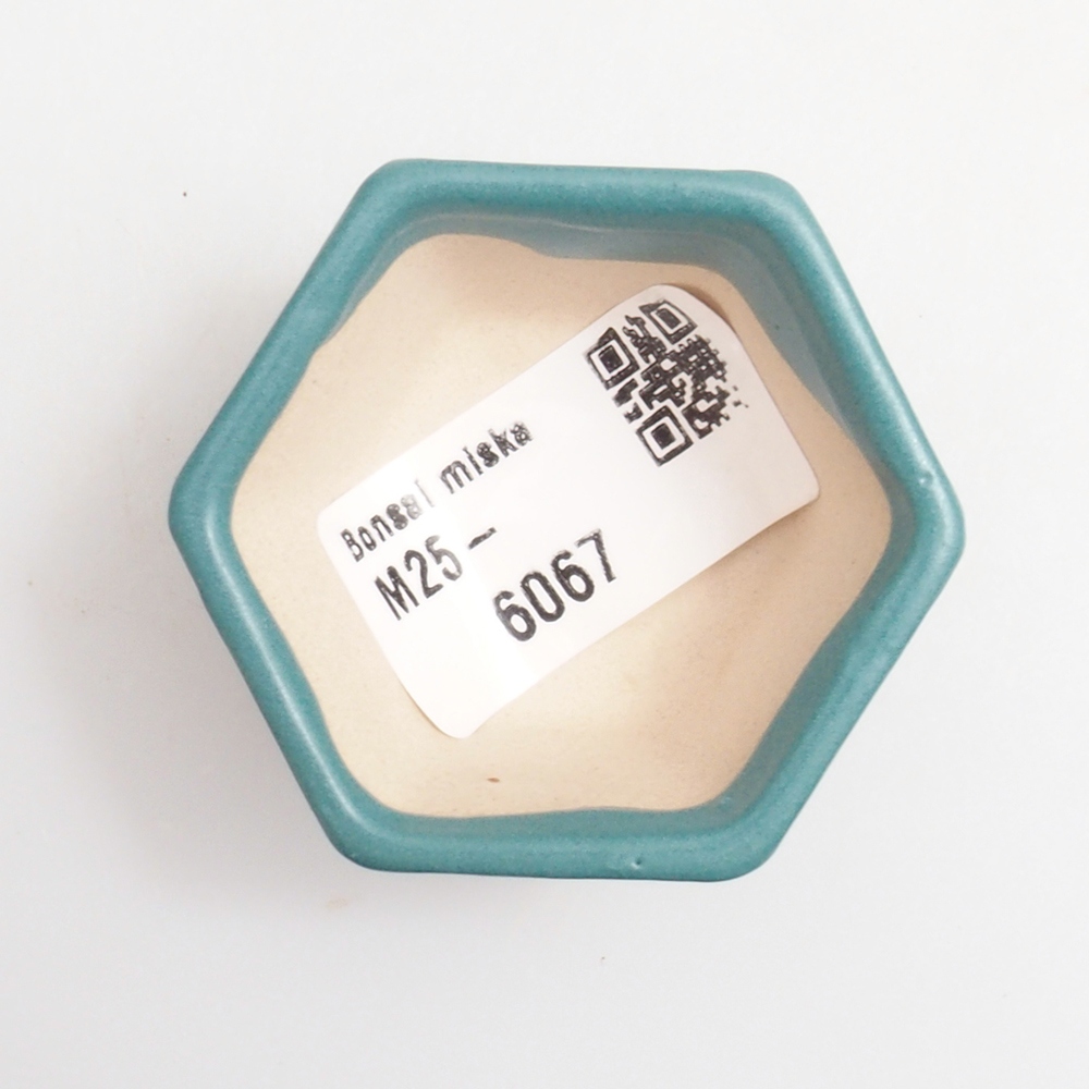 Cuenco bonsái de cerámica 6,5 x 5,5 x 4 cm, color azul