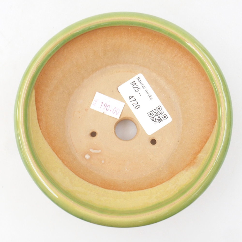 Cuenco bonsái de cerámica 13,5 x 13,5 x 5 cm, verde