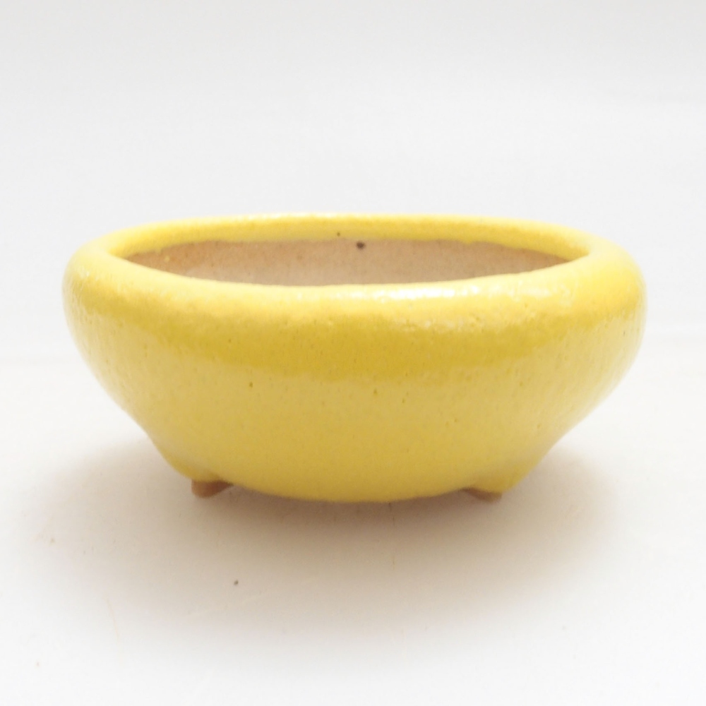 Cuenco bonsái de cerámica 5 x 5 x 2 cm, amarillo