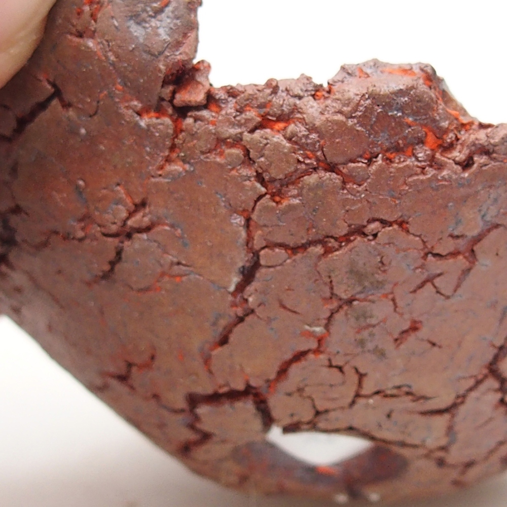 Concha de cerámica 7 x 7 x 3 cm , color naranja