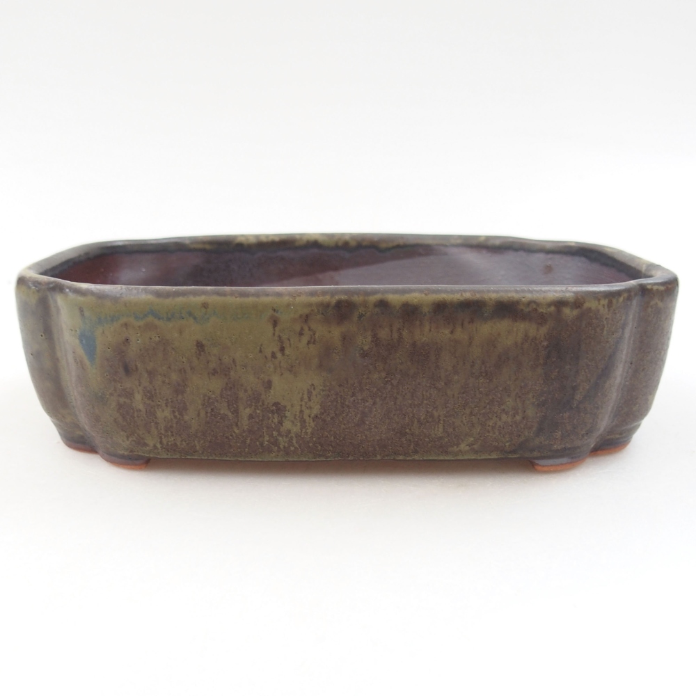 Cuenco bonsái de cerámica 22 x 17 x 5 cm, verde