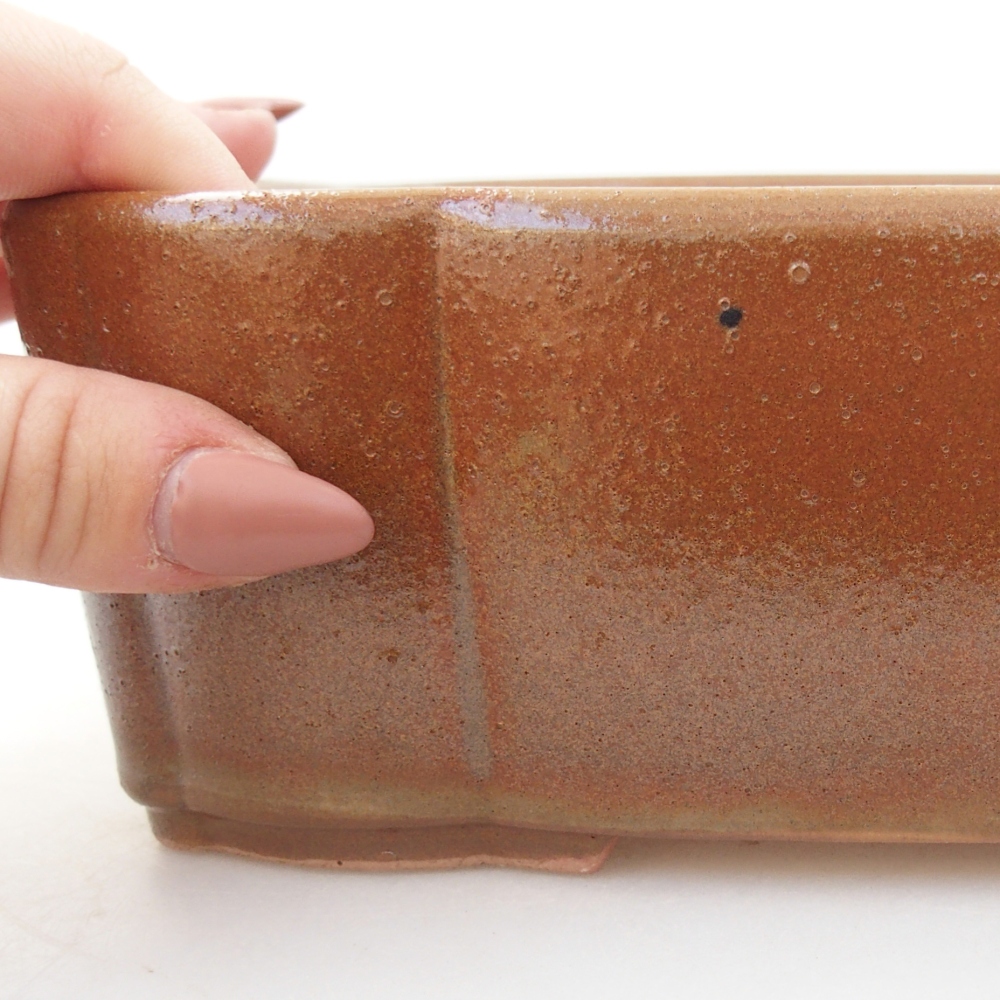 Cuenco bonsái de cerámica 20,5 x 17 x 7 cm, marrón