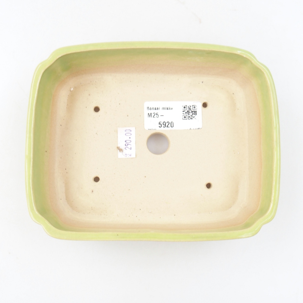 Cuenco bonsái de cerámica 22 x 17 x 5 cm, verde