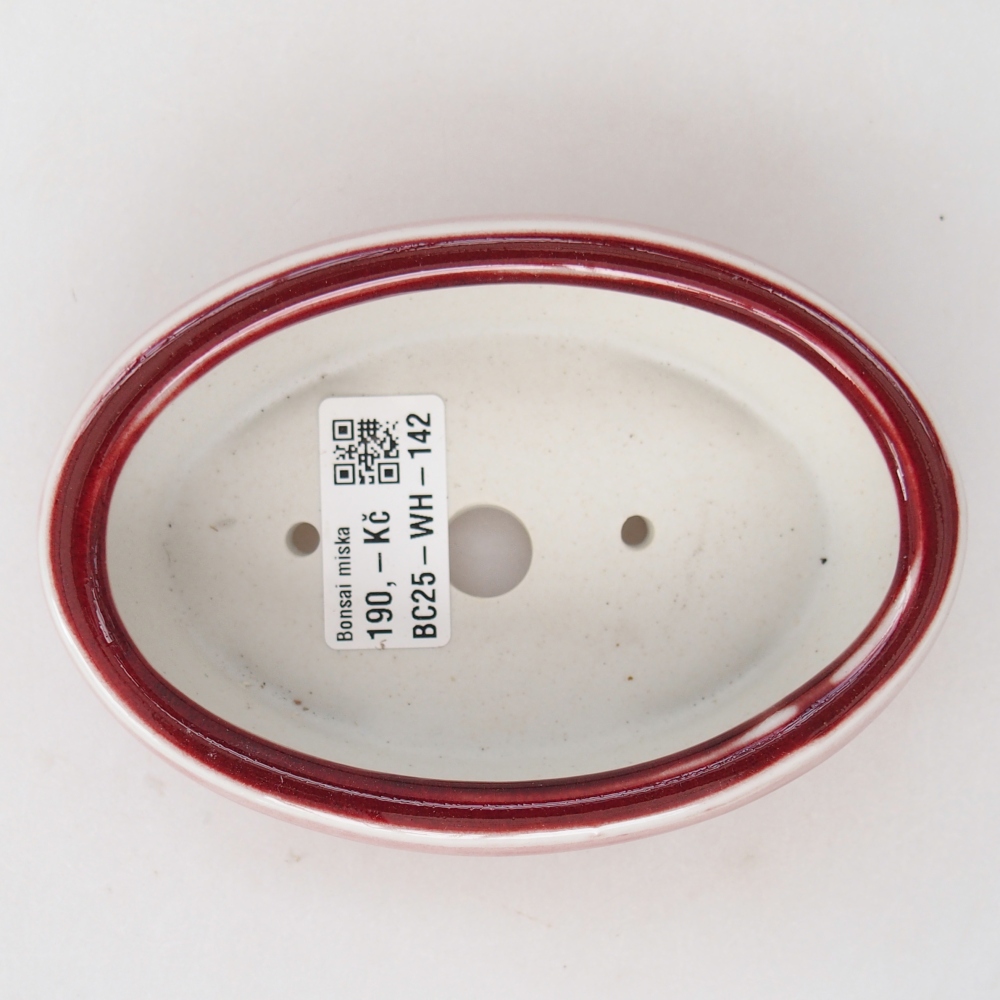 Cuenco bonsái de cerámica 13 x 8,5 x 4 cm, color rojo