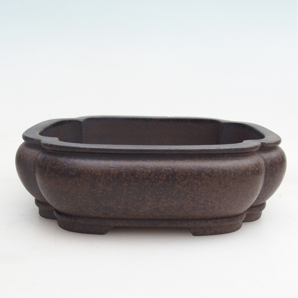 Cuenco bonsái de cerámica 14 x 11 x 4,5 cm, color ocre parduzco