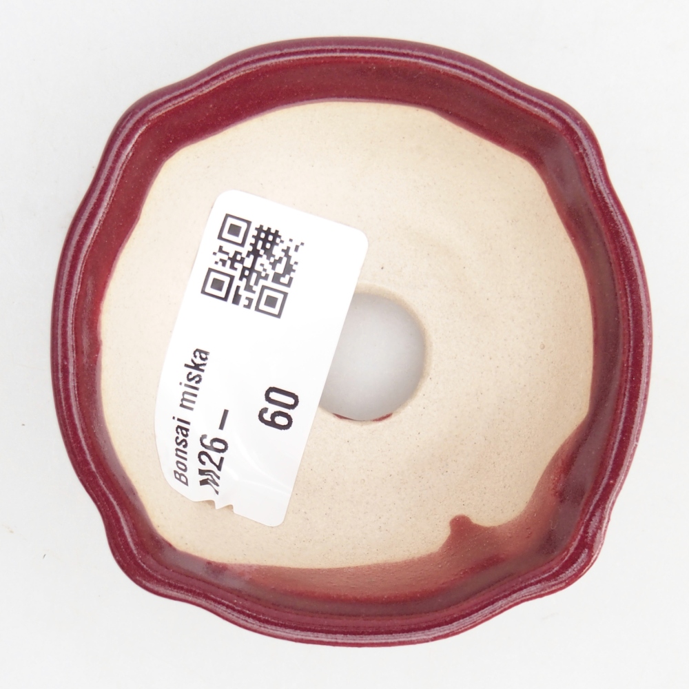 Cuenco mini bonsái 6,5 x 6,5 x 3 cm, burdeos