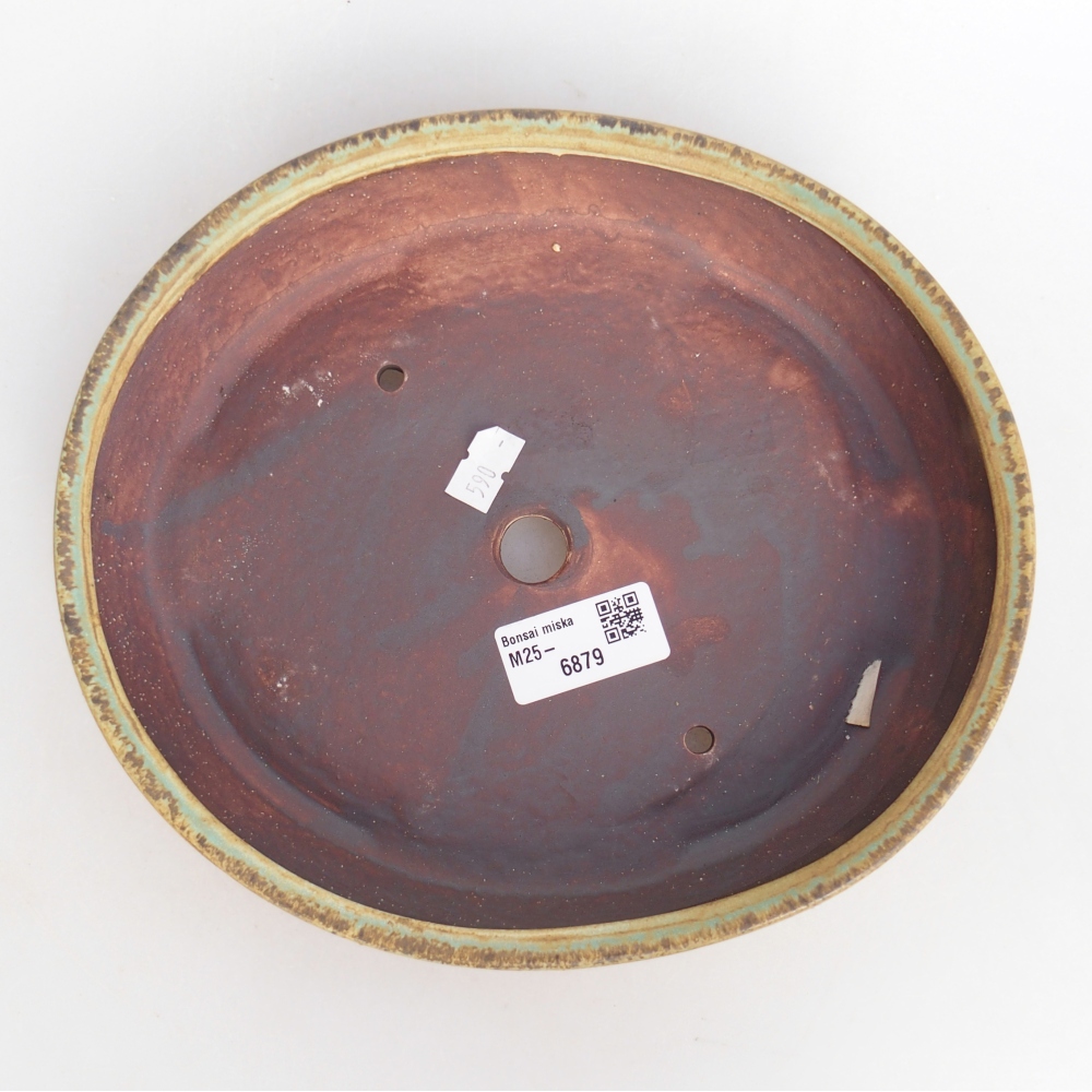 Cuenco bonsái de cerámica 22,5 x 20 x 4,5 cm, verde