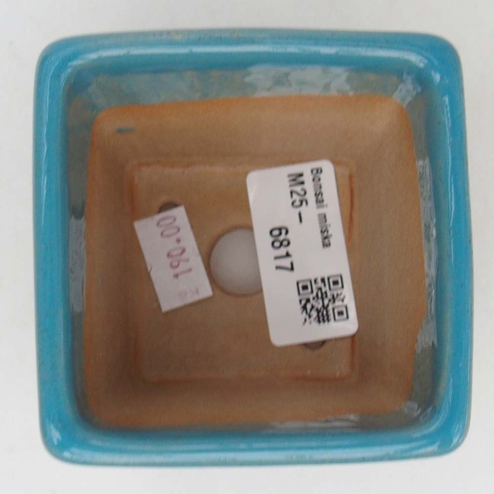 Cuenco bonsái de cerámica 7,5 x 7,5 x 7 cm, color azul