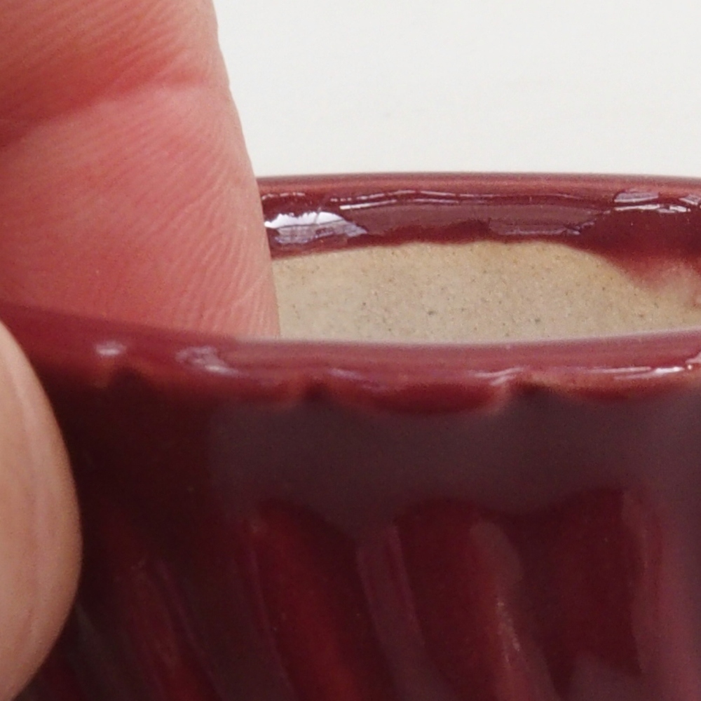 Mini cuenco bonsái 5 x 5 x 2,5 cm, color burdeos