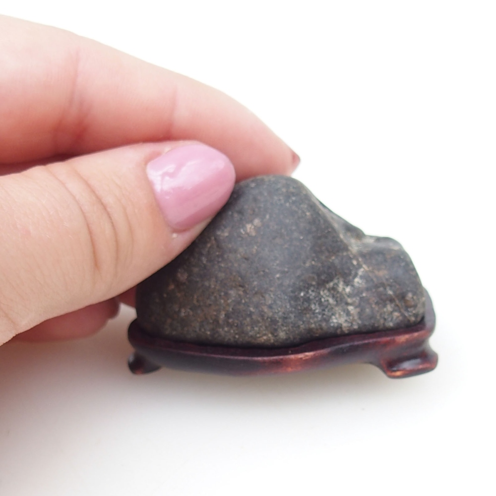Suiseki - Piedra con DAI (base de madera)