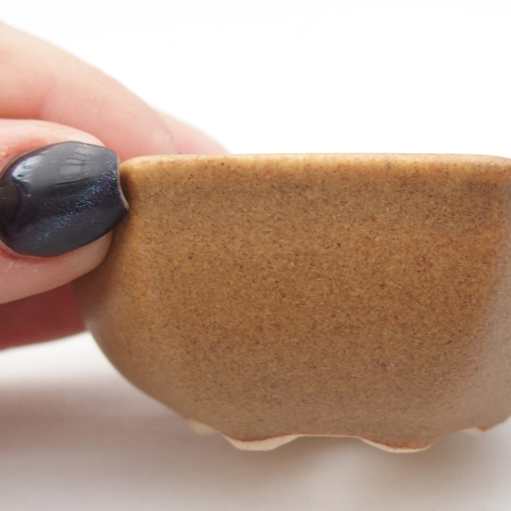 Cuenco mini bonsái 7 x 6 x 3 cm, marrón