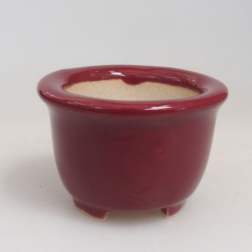 Mini cuenco bonsái 3,5 x 3,5 x 2,5 cm, burdeos