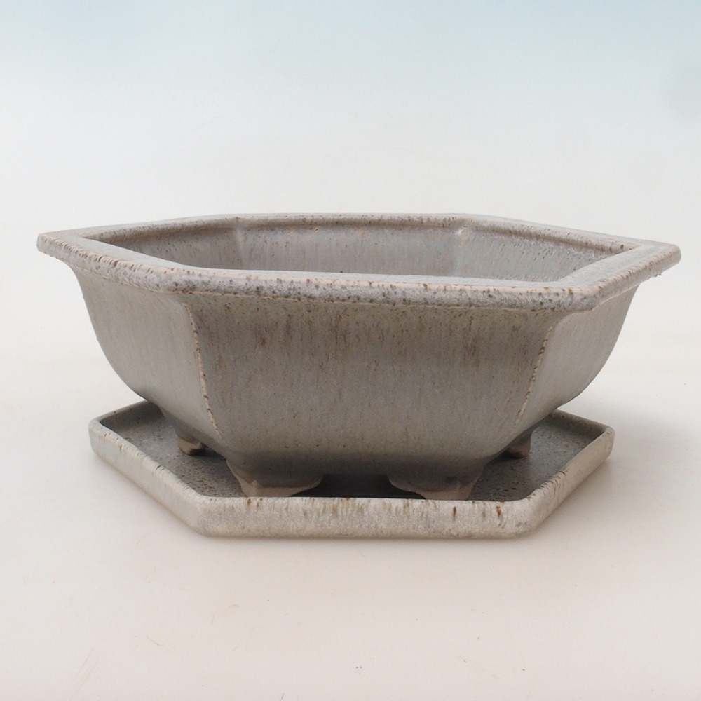 Cuenco bonsái + platillo H53 - 19 x 21,5 x 7 cm - beige