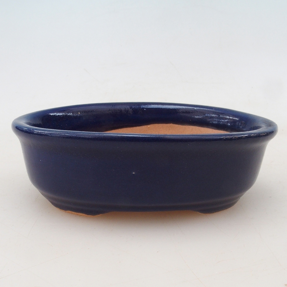 Cuenco bonsái + platillo H04 - azul