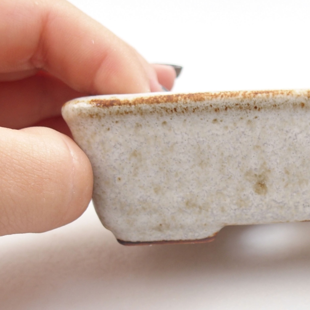 Cuenco bonsái de cerámica 22 x 17 x 5 cm, verde