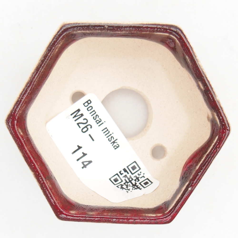 Cuenco mini bonsái 6 x 5,5 x 3 cm, color rojo