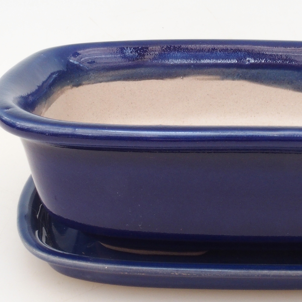 Cuenco bonsai + platillo H02 - azul