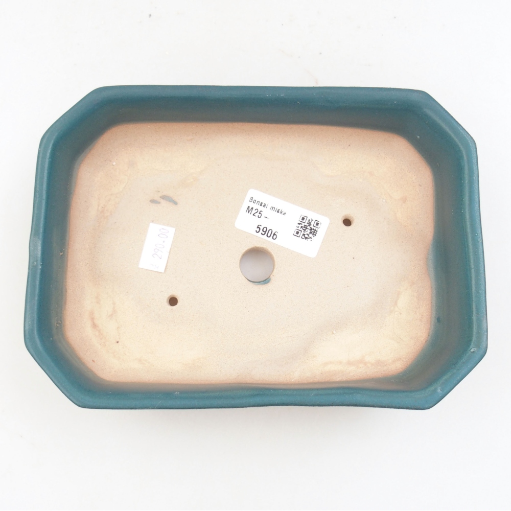 Cuenco bonsái de cerámica 22 x 17 x 5 cm, verde