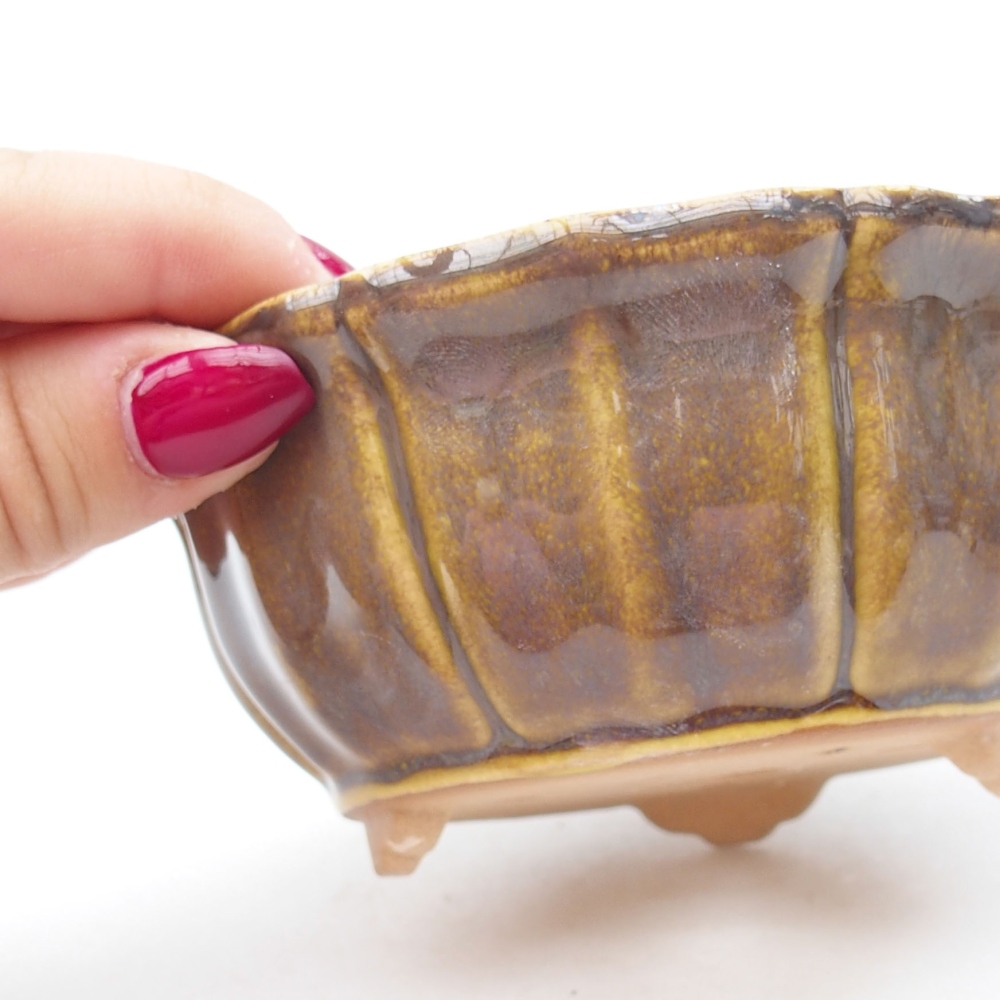 Cuenco bonsái de cerámica 11,5 x 11,5 x 5 cm, amarillo