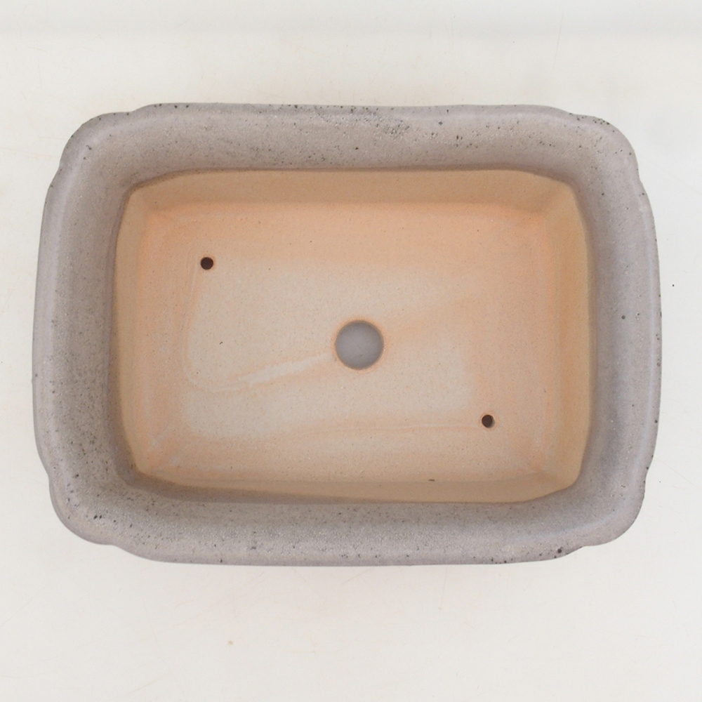 Cuenco bonsái H50 - 17 x 12,5 x 5,5 cm - beige