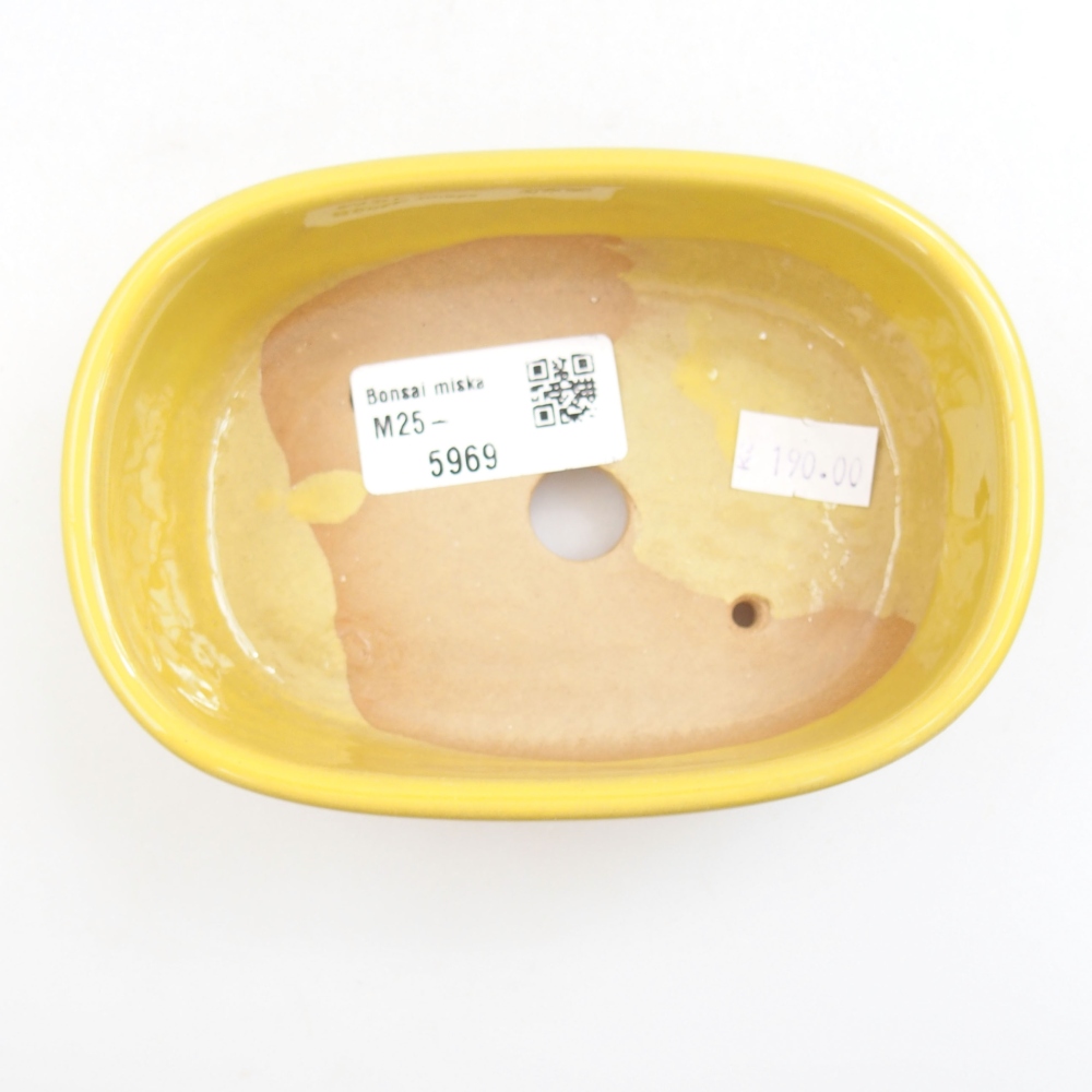 Cuenco bonsái de cerámica 22 x 17 x 5 cm, verde