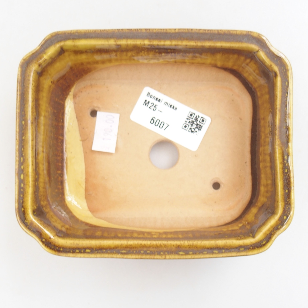 Cuenco bonsái de cerámica 22 x 17 x 5 cm, verde