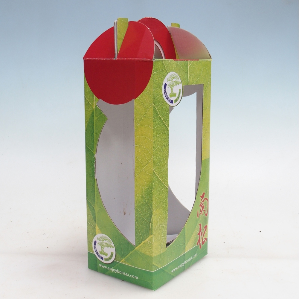 Caja regalo bonsái - papel